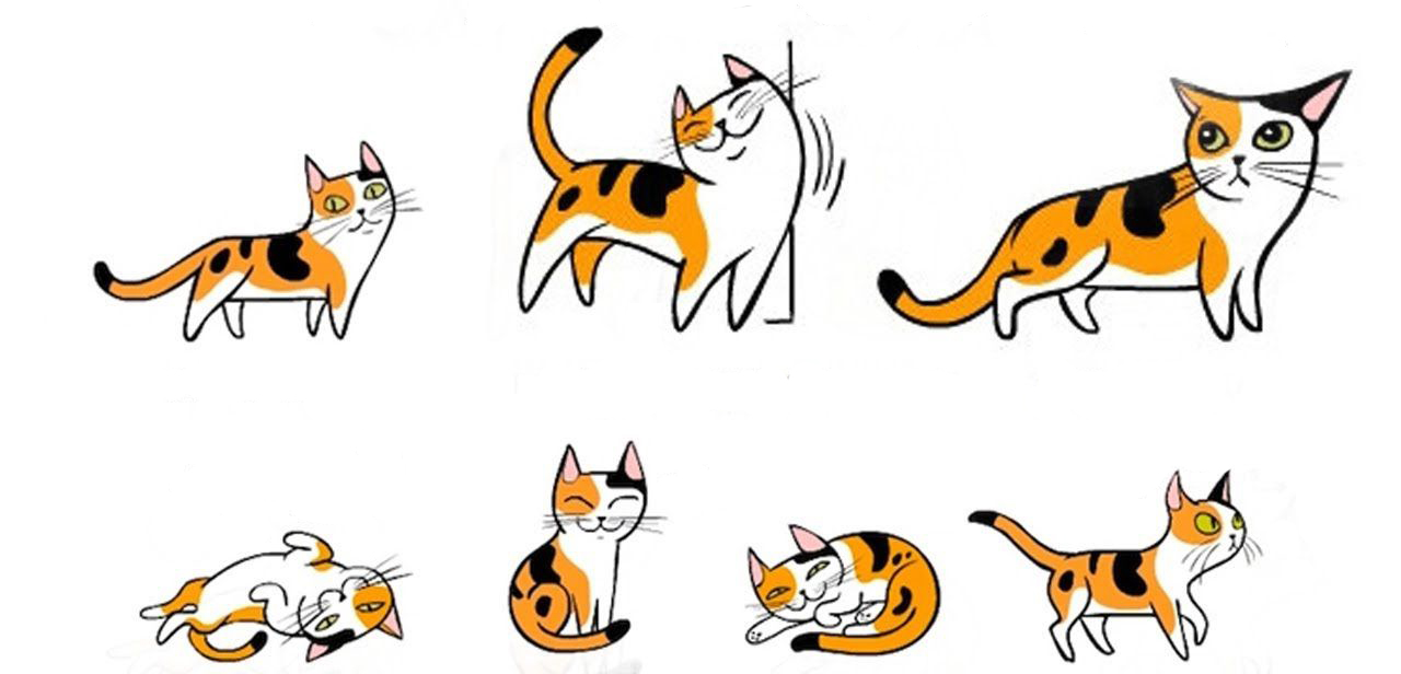 Kedilerin Tuhaf Davranışları Kedi Davranışların Anlamları