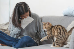 Kedi Alerjisi Nedir? Kedi Alerjisi Olanlar Ne Yapmalı